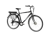 F.lli Schiano E-Moon, E Bike für die Stadt 28 Zoll, 36V 13Ah Abnehmbarer Akku, Motor 250W...