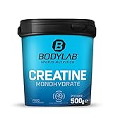 Bodylab24 Creatine Powder 500g, reines Creatin Monohydrat Pulver, Hochdosiertes Kreatin...